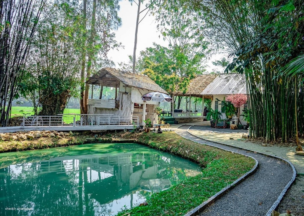 รูป ขายรีสอร์ทและร้านอาหารโซนสันกำแพง โลเคชั่นอยู่ใจกลางเมืองสันกำแพง - SW001725 - รูปที่ 15/24