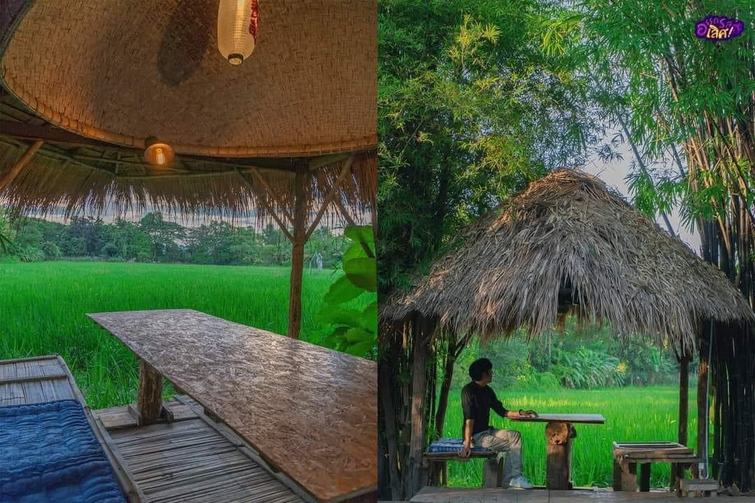 รูป ขายรีสอร์ทและร้านอาหารโซนสันกำแพง โลเคชั่นอยู่ใจกลางเมืองสันกำแพง - SW001725 - รูปที่ 12/24