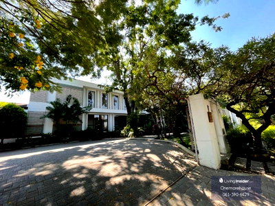 เช่าบ้านเดี่ยว ถนนสุขุมวิท : Luxury 7bedroom house for rent 
