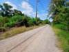 listing thumbnail image 14