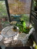 listing thumbnail image 14