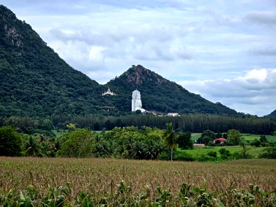 Land for sale Chai Badan Lopburi : Land for sale, 360 degree view, cheap price, area 24 rai 3 ngan 1 square wa, Chai Badan District, Lop Buri Province