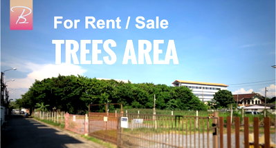Land for sale Prawet : Land for sale , 1 rai of land, filled in, Chaloem Prakiat Road, Rama 9, Soi 25 and 27, near the Yellow Line 1.4 km.