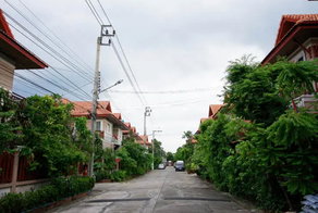 รูป Chitthara - รูปที่ 3/3