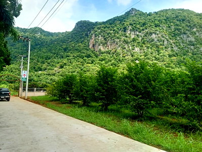 ที่ดิน นครราชสีมา (โคราช) : ขายที่ดินเขาใหญ่ 2 ไร่ ที่ดินวิวเขาสวยมาก อยู่เส้นกุดคล้าผ่านศึก พญาเย็น ปากช่อง ถนนหนทางดีมาก ไม่เปลี่ยว เพื่อนบ้านรายรอบ ใกล้เซเว่น087-9074045