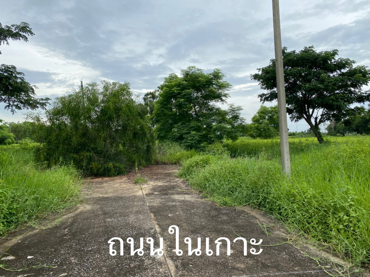 รูป  ขายด่วน ที่ดินแปลงจัดสรรล้อคที่97 เนื้อที่ 1-1-94 ไร่ ในซอยสุวินทวงศ์ 47  - รูปที่ 5/5