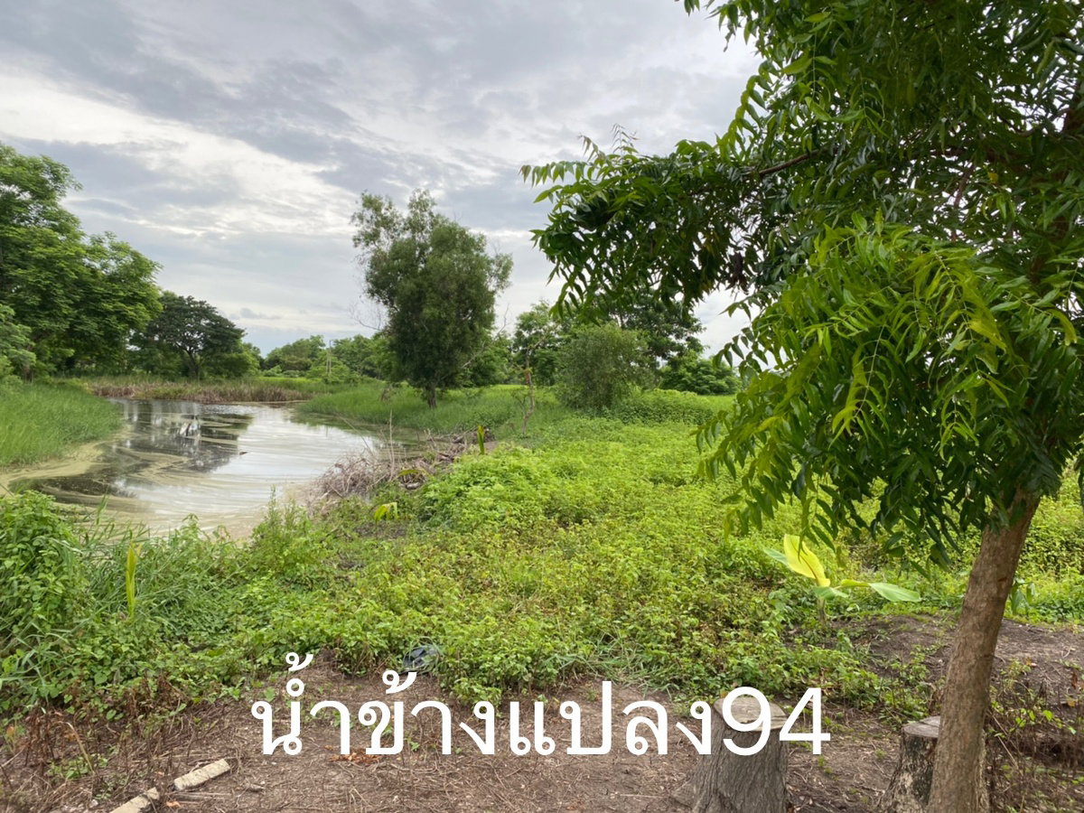 รูป   ขายด่วน ที่ดินแปลงจัดสรรล้อคที่ 76 เนื้อที่ 1-0-39ไร่ ในซอยสุวินทวงศ์ 47  - รูปที่ 3/3