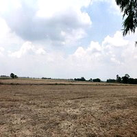 ที่ดิน บ้านนา นครนายก : ขายด่วน ที่ดินแปลงใหญ่ 106-0-8 ไร่ ต.พิกุลออก อ.บ้านนา นครนายก