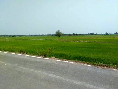 ที่ดิน บ้านนา นครนายก : ขายด่วน ที่ดินเปล่า 131-3-40 ไร่ใกล้สี่แยก บางอ้อ อ.บ้านนา นครนายก 