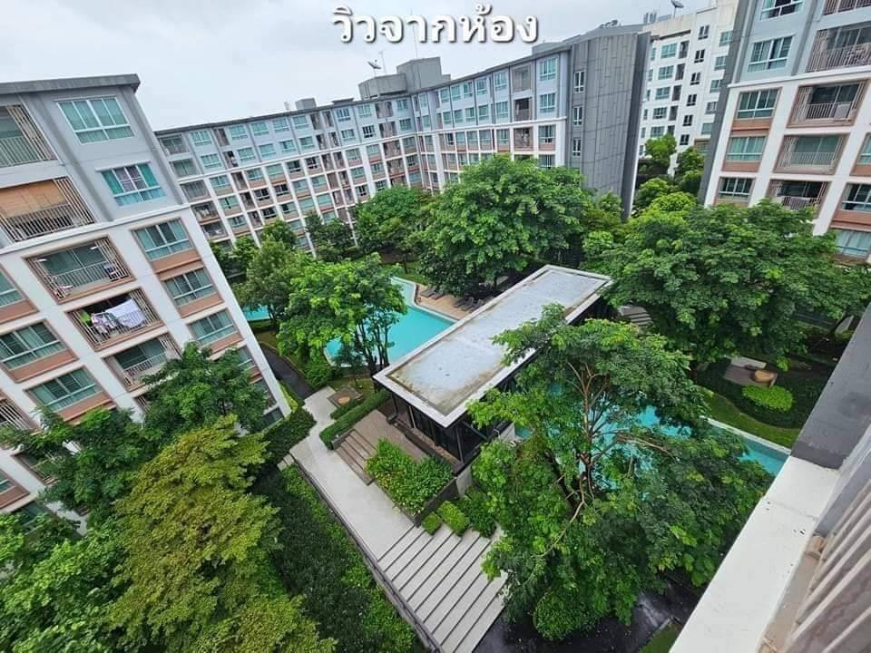 รูป คอนโดพิงค์ #ขายต่ำกว่าประเมินเงินทอนหลายแสน💰💰#วิวหลักล้านสวยม๊วก - รูปที่ 12/17