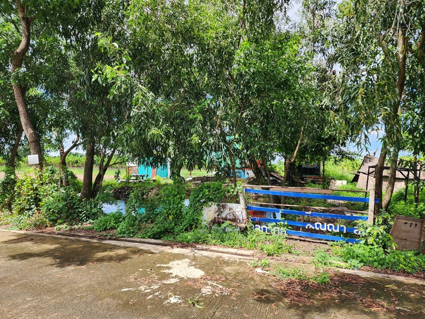 รูป ขาย ที่ดิน 1 งาน ซ.คลองห้าตะวันตก 73 อ.คลองหลวง จ.ปทุมธานี - รูปที่ 5/9