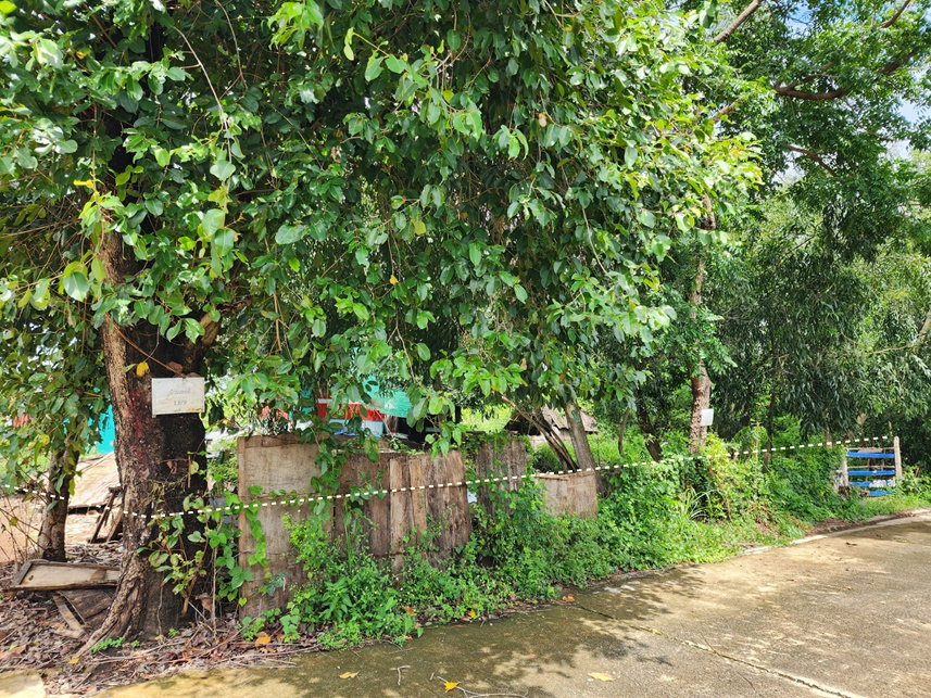 รูป ขาย ที่ดิน 1 งาน ซ.คลองห้าตะวันตก 73 อ.คลองหลวง จ.ปทุมธานี - รูปที่ 4/9