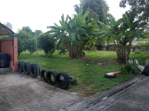 Land for sale, Intamara 51, size 279 sq.w., selling for 190,000/sq.w., cheap price! Can go through both Ratchada and Vibhavadi roads.