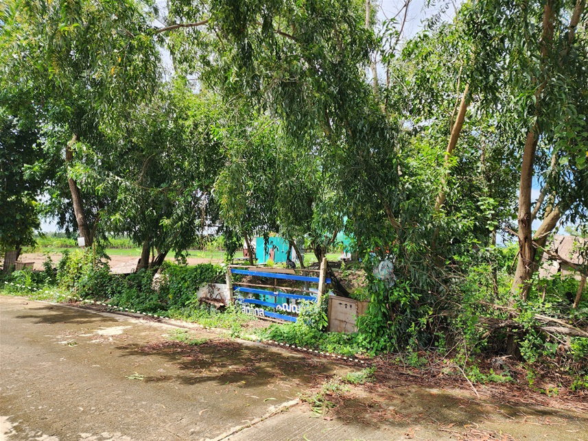 รูป ขาย ที่ดิน 1 งาน ซ.คลองห้าตะวันตก 73 อ.คลองหลวง จ.ปทุมธานี - รูปที่ 6/9