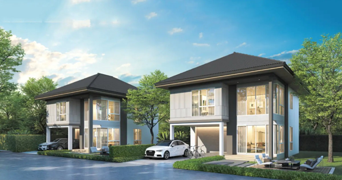 รูปภาพิฺิBegonia