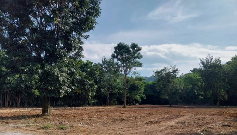 ขายที่ดินแปลงสวย โซนบางพระ ศรีราชา ทำเลดี วิวหลังเขา 