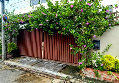Houses for sale Bangkok : House for sale in Sukhumvit 71/ Pridi 20 55sq.w Near BTS Phrakhanong, St. Andrews International School 0879074045
