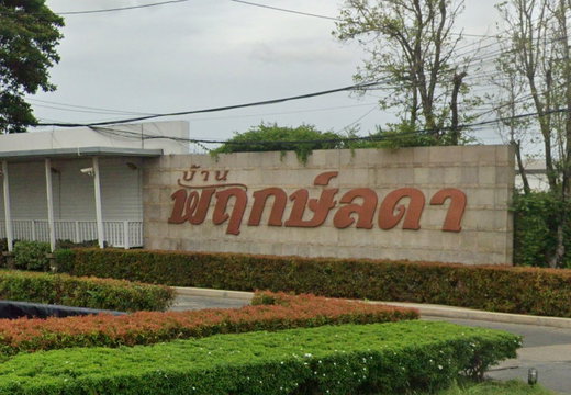 Project Prueklada Tiwanon - Ratchaphruek Picture - 1/6