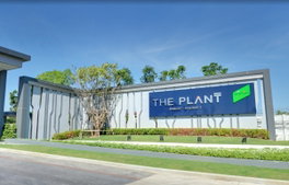 รูป The Plant Rangsit - Klong 3 - รูปที่ 2/6