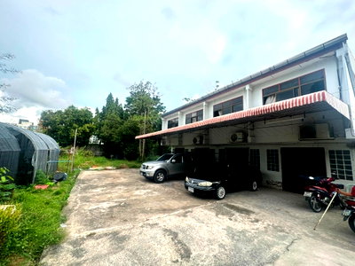 เช่าบ้านเดี่ยว ไบเทค บางนา : เช่าบ้าน ซอยแบริ่ง 16 บางนา สุขุมวิท 107