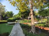 listing thumbnail image 34