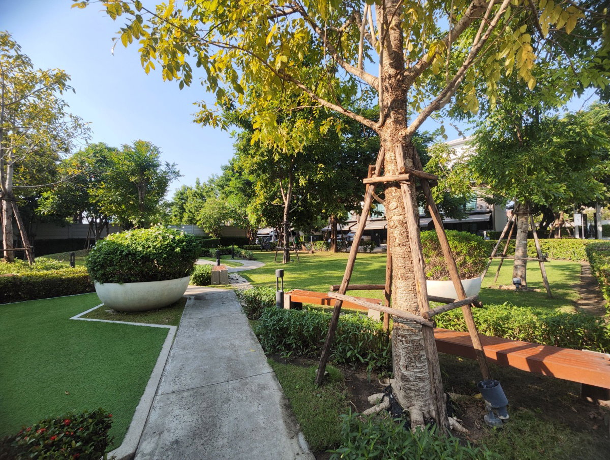 รูป ให้เช่า  ทาวโฮม 3 ชั้น  บ้านกลางเมืองศรีนครินทร์-อ่อนนุช  (Rt-01) - รูปที่ 35/36