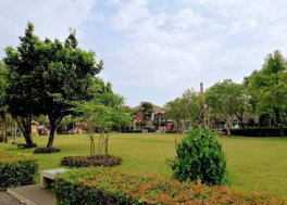 รูป The Plant Wongwaen - Ramintra - รูปที่ 4/5