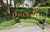 logo โครงการ วิวไม้