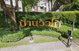 project-วิวไม้---12936-image-alt