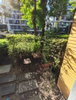 listing thumbnail image 5
