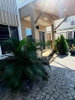 listing thumbnail image 20