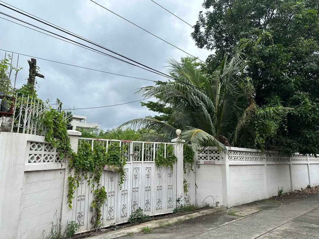 picture Sukhumvit Land for sale, Baeuty Land Sukhumvit 65/ Ekkamai/ Pridi 15/ Sukhumvit 71 Near BTS Ekkamai/ Phrakhanong Close to BTS ekkamai - 5/5