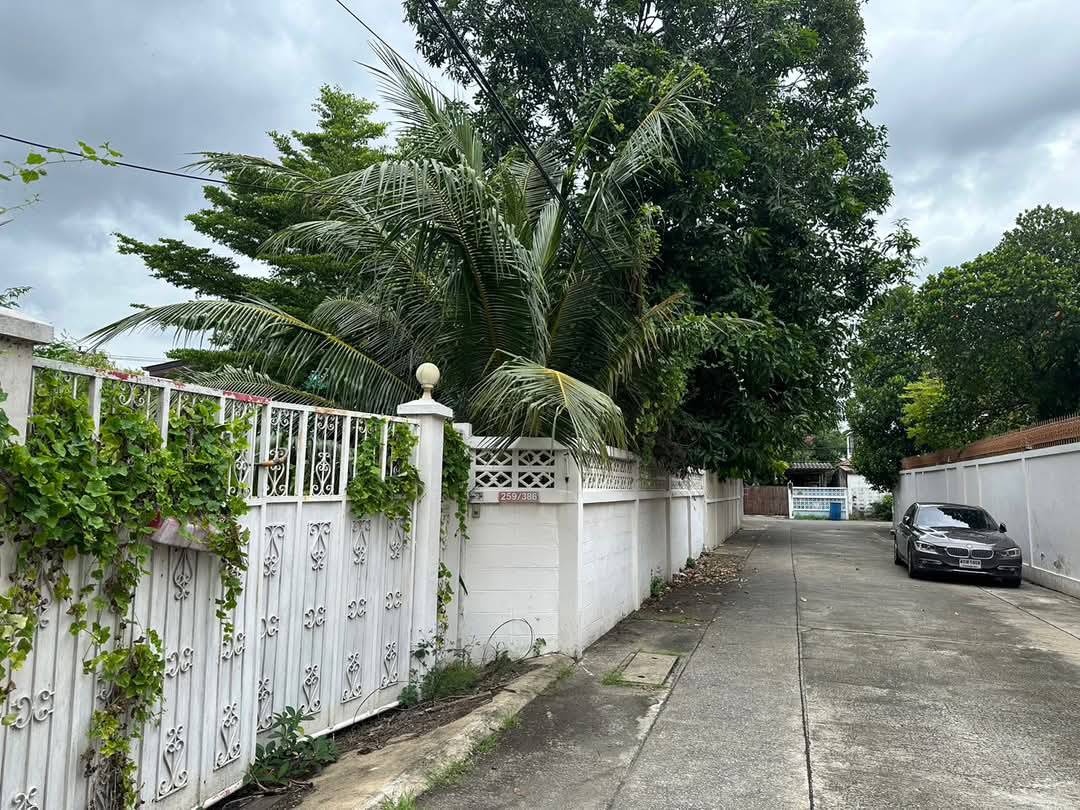 picture Sukhumvit Land for sale, Baeuty Land Sukhumvit 65/ Ekkamai/ Pridi 15/ Sukhumvit 71 Near BTS Ekkamai/ Phrakhanong Close to BTS ekkamai - 4/5