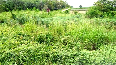 Land for sale Bang Kruai - Sai Noi Road : Land for sale, Plak Daeng, Nikhom Phatthana, Rayong, on the road, near Rayong Land Development Station