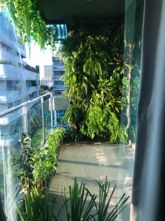 picture #S1864 For Rent Downtown 49 - 10/23