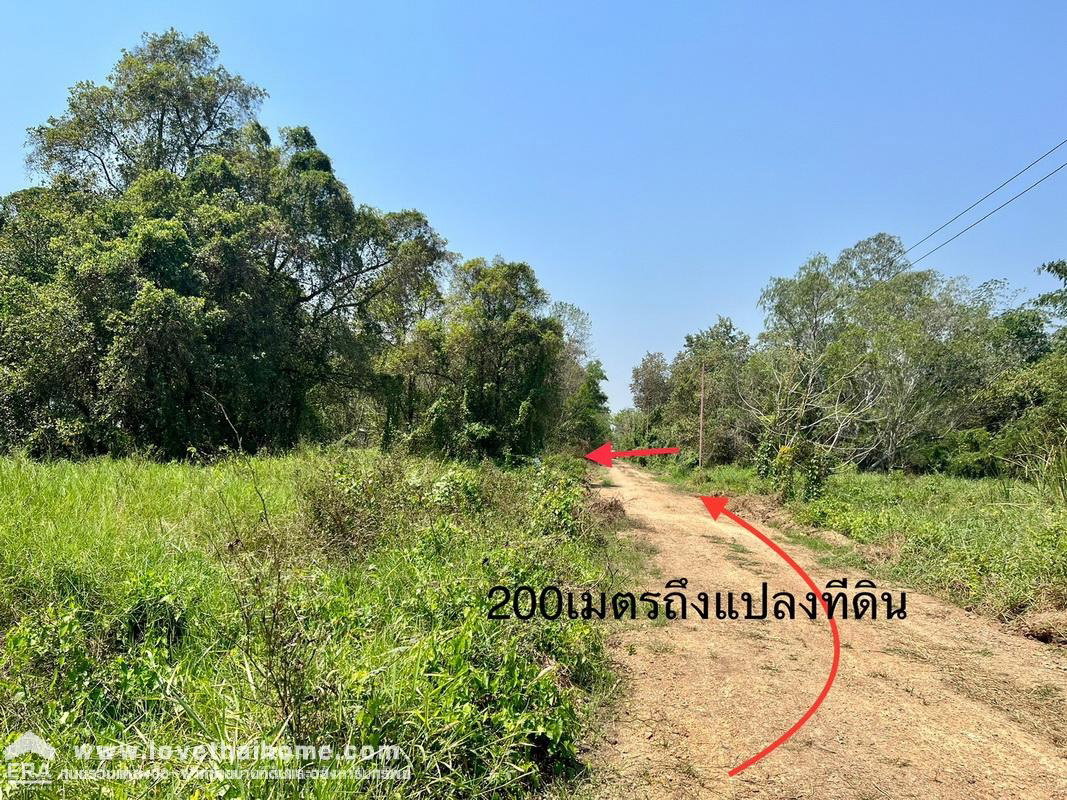 รูป ขายที่ดิน ซอยคลองหลวง6 ตะวันตก13 พื้นที่ 100 ตรว. ใกล้ ม.ราชมงคลธัญบุรี - รูปที่ 6/6