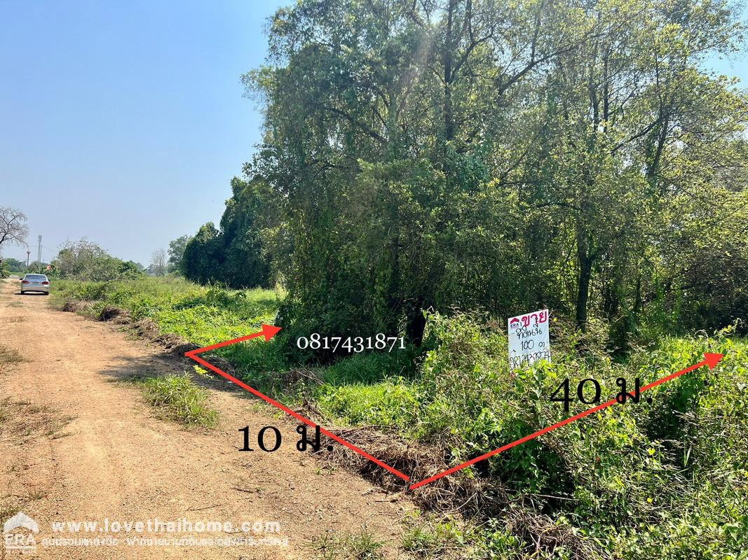 รูป ขายที่ดิน ซอยคลองหลวง6 ตะวันตก13 พื้นที่ 100 ตรว. ใกล้ ม.ราชมงคลธัญบุรี - รูปที่ 3/6