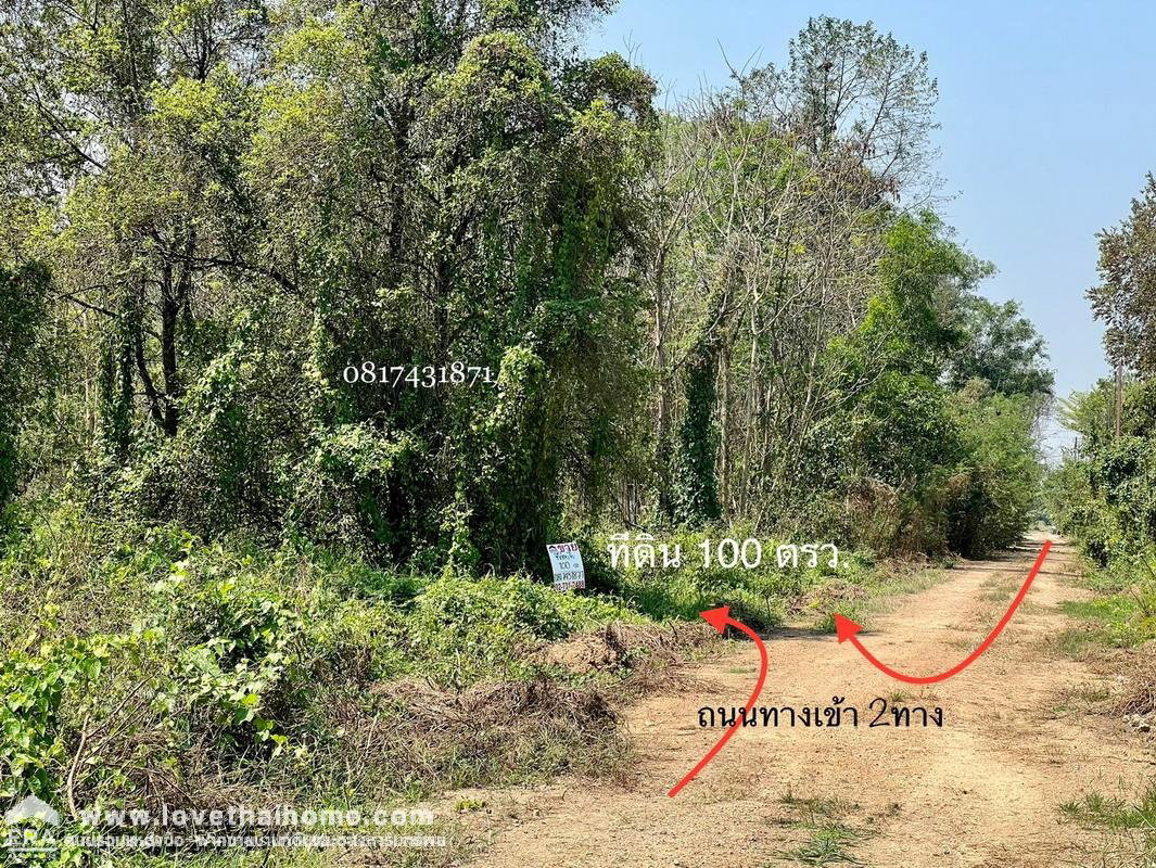รูป ขายที่ดิน ซอยคลองหลวง6 ตะวันตก13 พื้นที่ 100 ตรว. ใกล้ ม.ราชมงคลธัญบุรี - รูปที่ 5/6