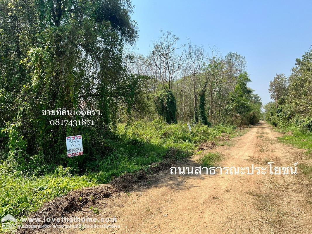 รูป ขายที่ดิน ซอยคลองหลวง6 ตะวันตก13 พื้นที่ 100 ตรว. ใกล้ ม.ราชมงคลธัญบุรี - รูปที่ 4/6