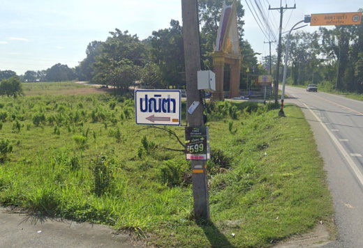 รูป Panita Banbueng - รูปที่ 1/3