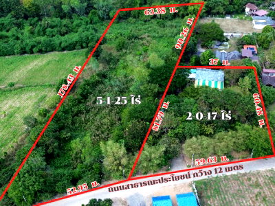Land for sale TFD Industrial Estate : Sales  Land  Sriracha  Chonburi  qty 2,942  Square Wa  good price and good location.