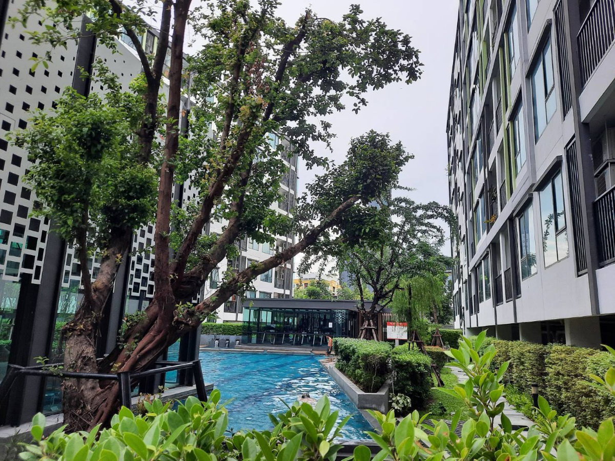 รูป 💥 ขาย!! The Niche Mono Sukhumvit 50 ขนาด 29 ตรม. ราคา 2.59 ล้านบาท พร้อมเฟอร์และเครื่องใช้ไฟฟ้า  - รูปที่ 9/12