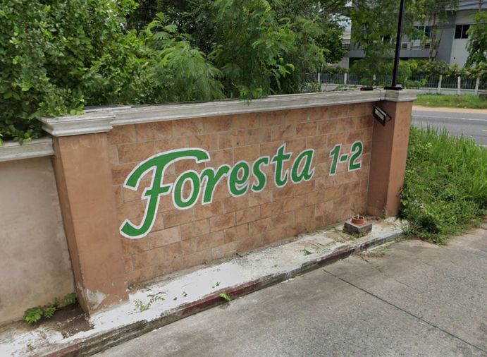Foresta 1