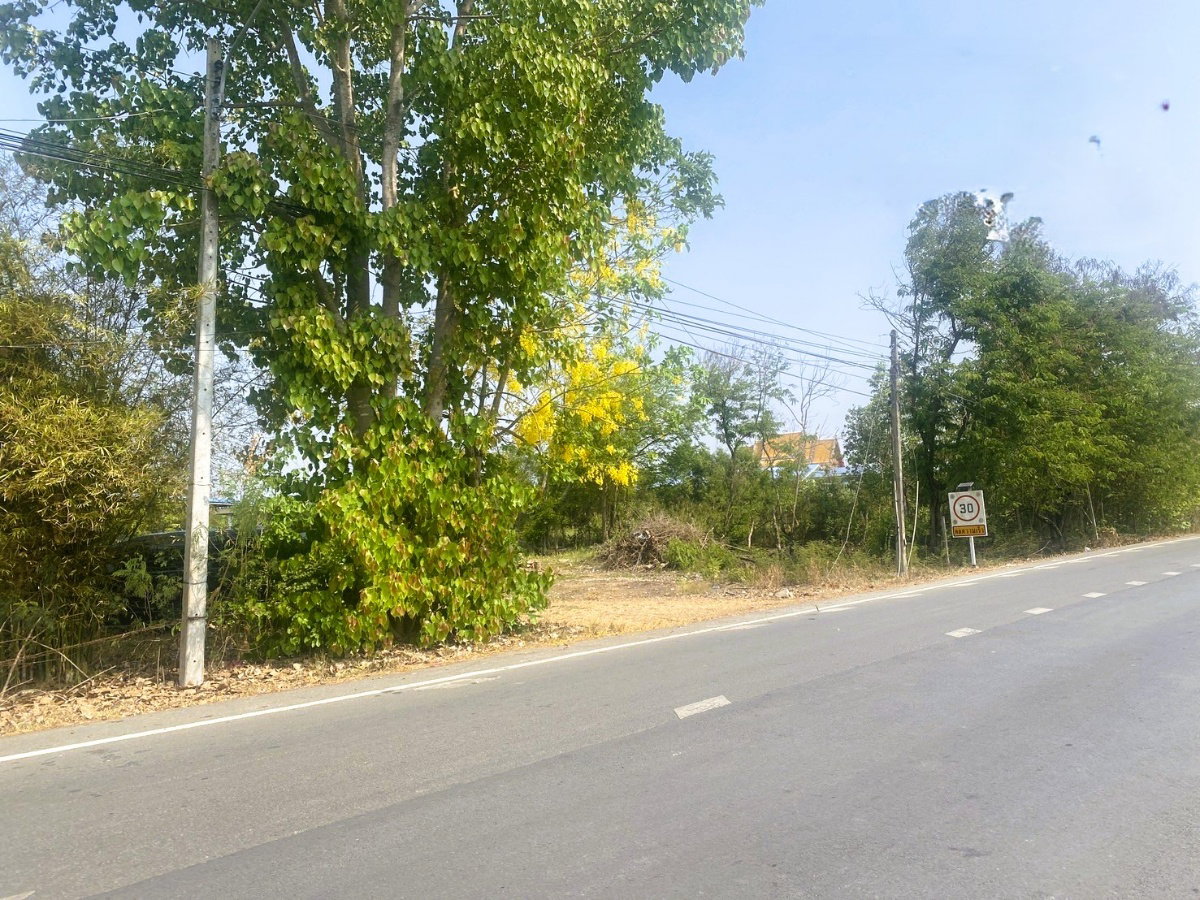 รูป ขายที่ดินเปล่า คลอง 7 ขนาด 19-2-86 ไร่ หนองเสือ ปทุมธานี ราคาดี - รูปที่ 1/4