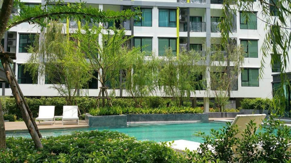 รูป 💥 ขาย!! The Niche Mono Sukhumvit 50 ขนาด 29 ตรม. ราคา 2.59 ล้านบาท พร้อมเฟอร์และเครื่องใช้ไฟฟ้า  - รูปที่ 10/12