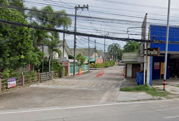 สายใย