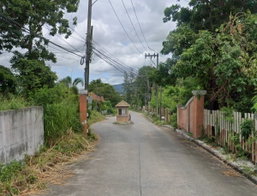 Project Foresta 1 Picture - 3/4