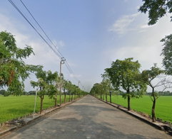 รูป paisan park ville - รูปที่ 2/4