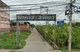 project-bootsakorn-ratiya---17515-image-alt