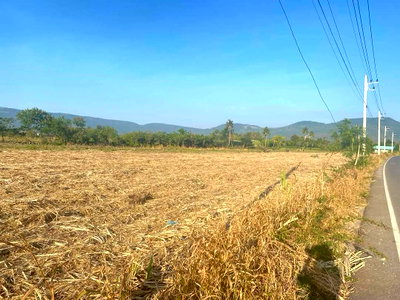 ที่ดิน นครราชสีมา (โคราช) : ขายที่วังไทร 9 ไร่ ปากช่อง วิวเขายายเที่ยง ที่หน้ากว้างติดถนนลาดยางเส้นหลัก เข้าออกได้หลายทาง ใกล้ถนนมิตรภาพ อบต วิวเขาสวยรอบล้อม ขายถูก 087-9074045